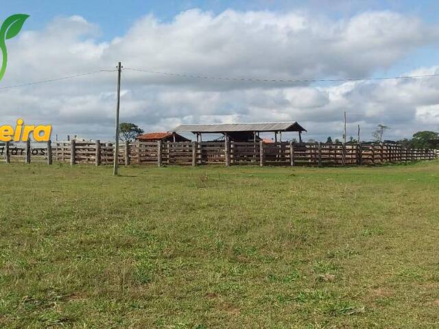 Fazenda para Venda em Jardim - 5