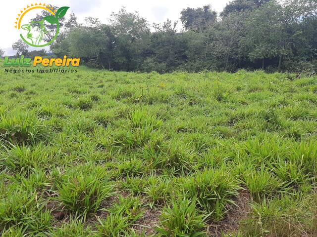 #1734 - Fazenda para Venda em Monte do Carmo - TO - 2