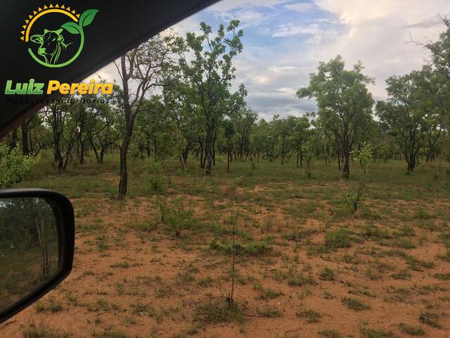 Fazenda para Venda em Monte do Carmo - 4