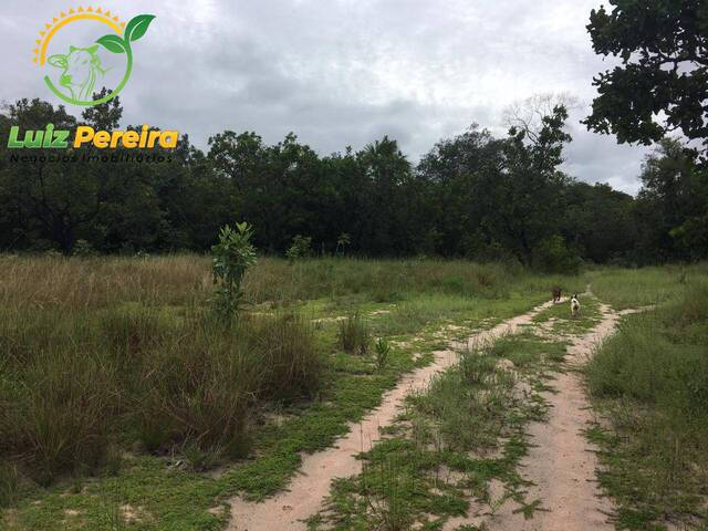 Fazenda para Venda em Monte do Carmo - 5