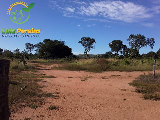 #1734 - Fazenda para Venda em Monte do Carmo - TO