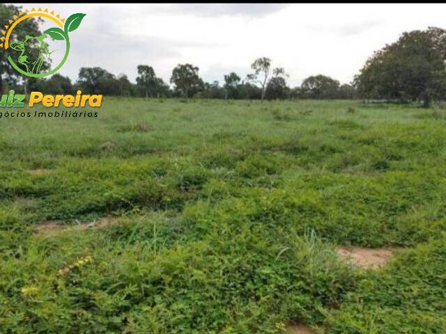 Fazenda para Venda em Cristalândia - 5