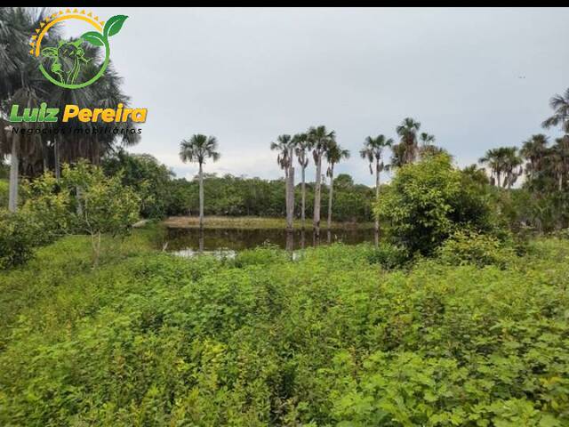 Fazenda para Venda em Cristalândia - 4