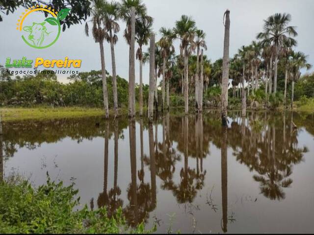 #1753 - Fazenda para Venda em Cristalândia - TO - 3