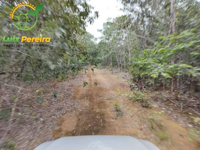 Fazenda para Venda em Cristalândia - 4