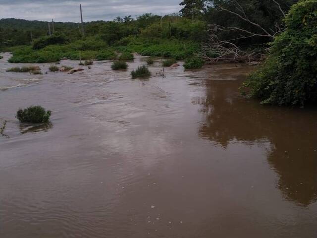 Fazenda para Venda em Pindorama do Tocantins - 5