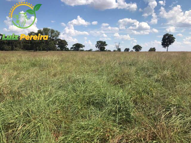 Fazenda para Venda em Corguinho - 5