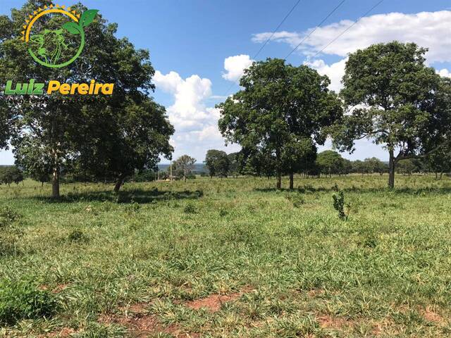 #1776 - Fazenda para Venda em Corguinho - MS - 3