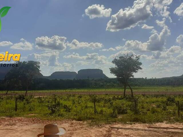 #1793 - Fazenda para Venda em Balsas - MA - 3