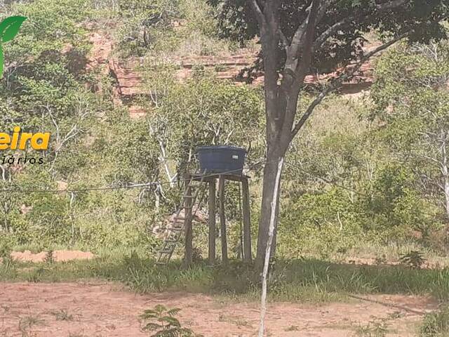 Fazenda para Venda em Balsas - 5