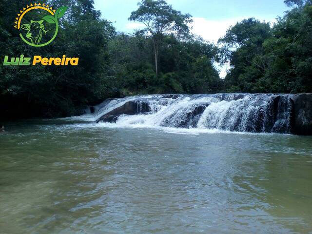 Fazenda para Venda em Rio Negro - 4
