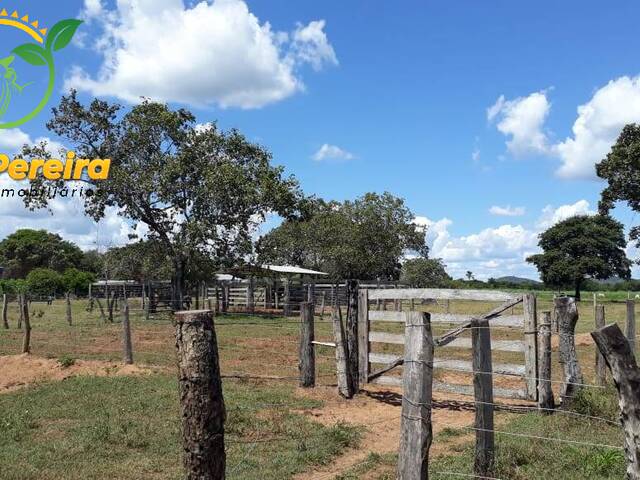 #1858 - Fazenda para Venda em Natividade - TO - 1