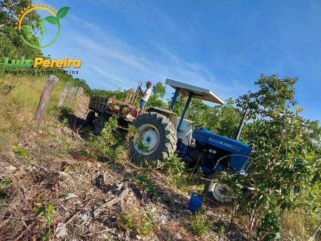 Fazenda para Venda em Natividade - 4