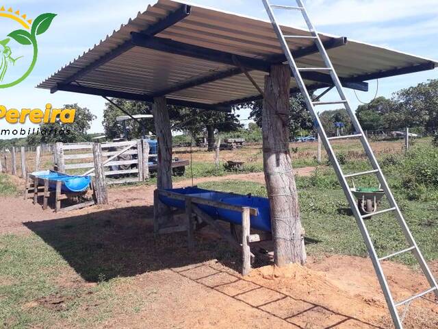 Fazenda para Venda em Natividade - 5