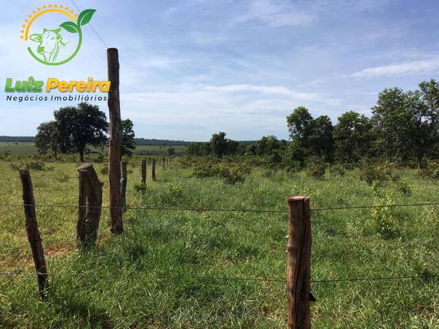 Fazenda para Venda em Santa Rita do Pardo - 4