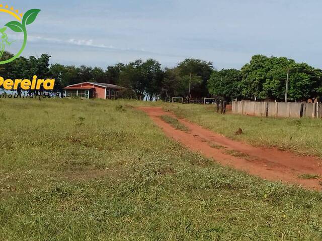 #1859 - Fazenda para Venda em Santa Rita do Pardo - MS - 3