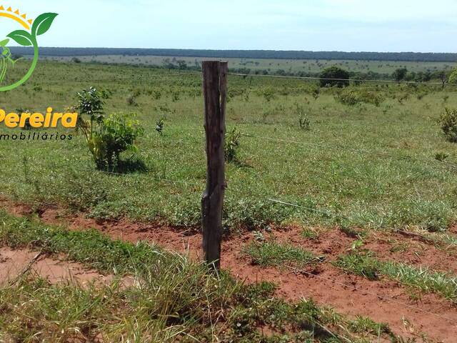 Fazenda para Venda em Santa Rita do Pardo - 5