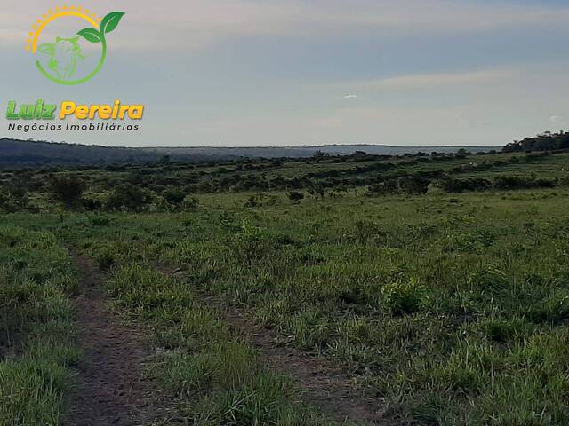 #1866 - Fazenda para Venda em Colinas do Tocantins - TO - 2