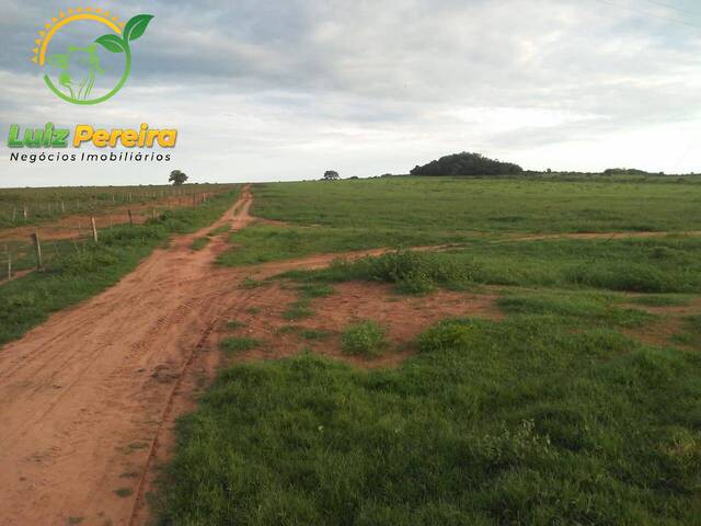 #1866 - Fazenda para Venda em Colinas do Tocantins - TO - 3