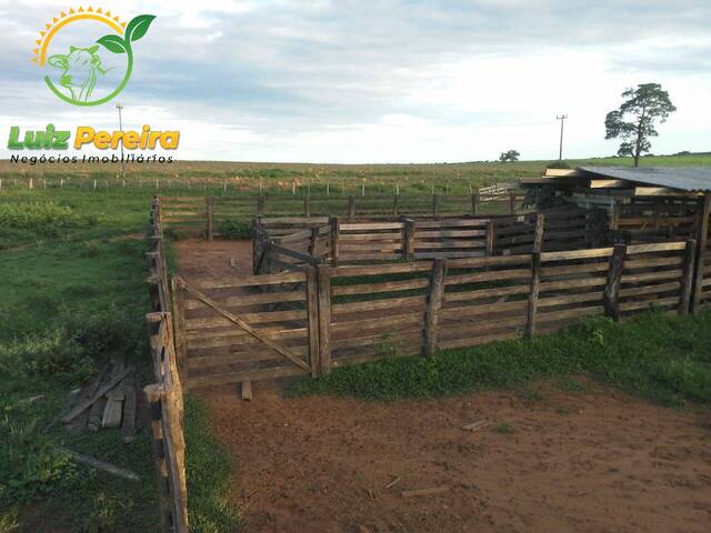 Fazenda para Venda em Colinas do Tocantins - 5
