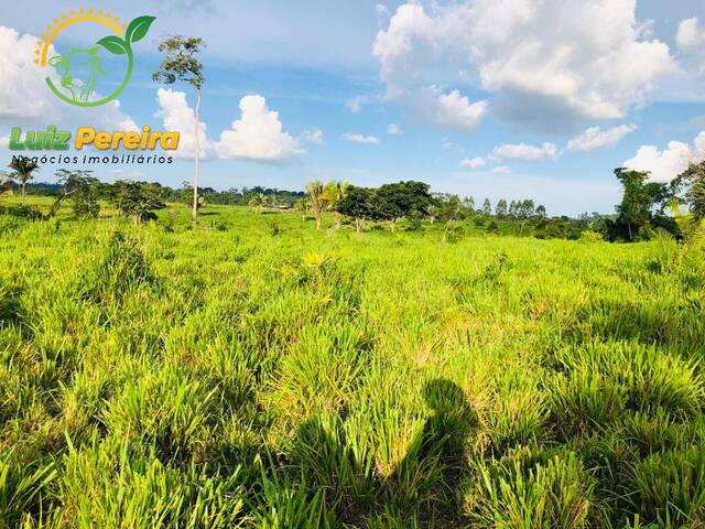 Fazenda para Venda em Novo Repartimento - 4