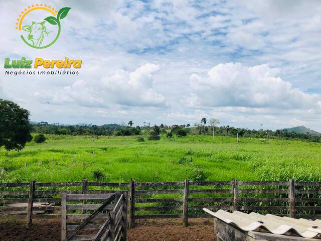 #1870 - Fazenda para Venda em Novo Repartimento - PA - 1