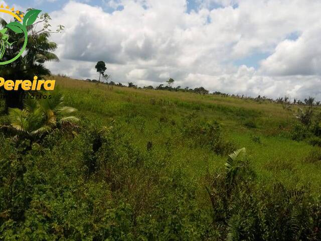 Fazenda para Venda em Portel - 5