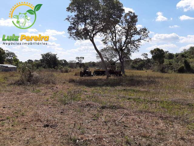 Fazenda para Venda em Presidente Kennedy - 4