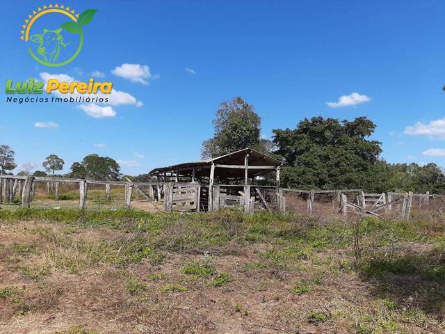Fazenda para Venda em Presidente Kennedy - 5