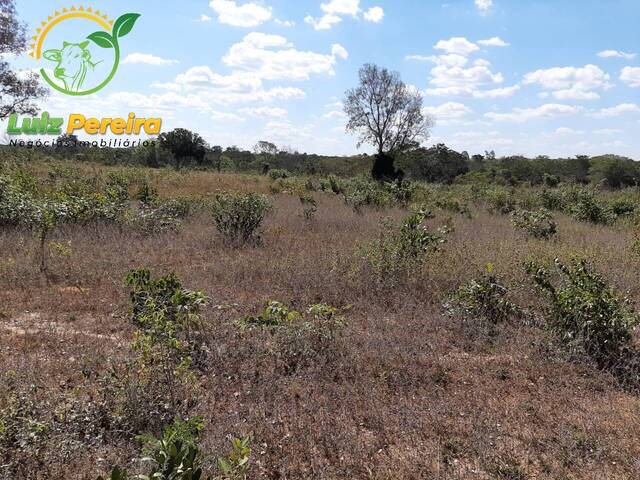 #1880 - Fazenda para Venda em Presidente Kennedy - TO - 2