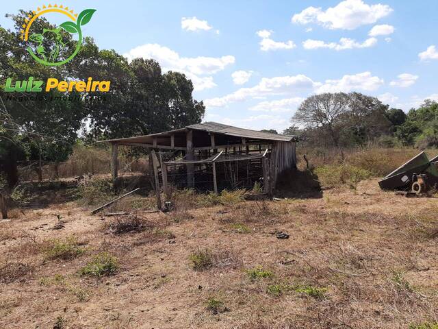 #1880 - Fazenda para Venda em Presidente Kennedy - TO - 3