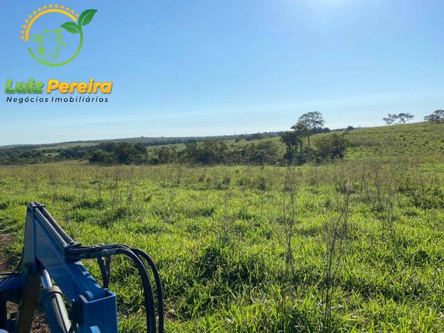Fazenda para Venda em Camapuã - 4