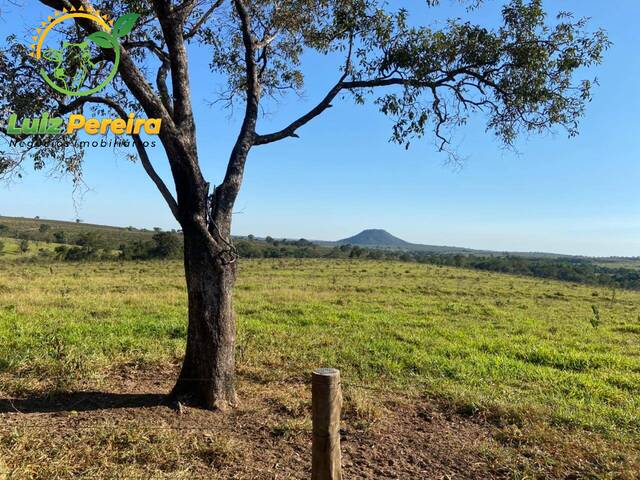 #1939 - Fazenda para Venda em Camapuã - MS - 2