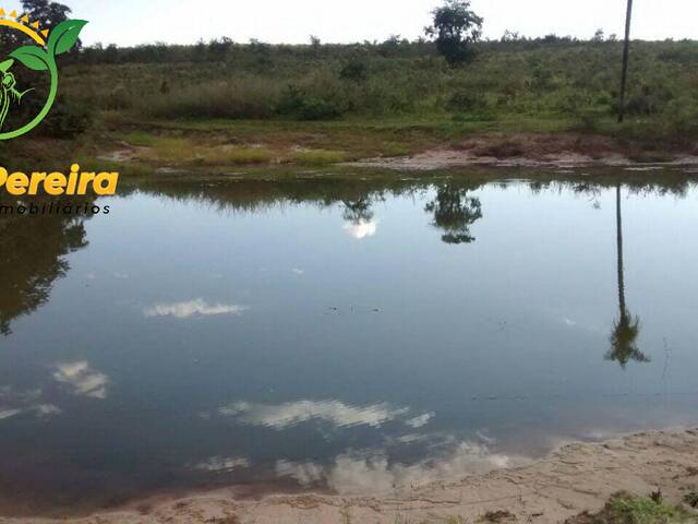 Fazenda para Venda em Camapuã - 5