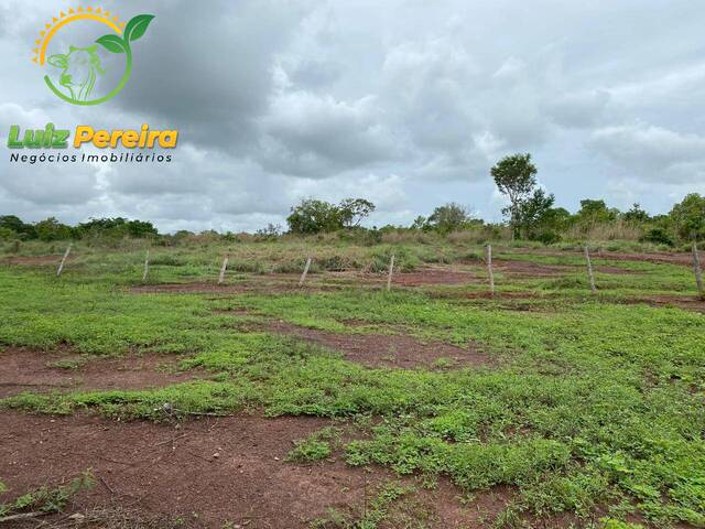 #1945 - Fazenda para Venda em Araguaína - TO - 3