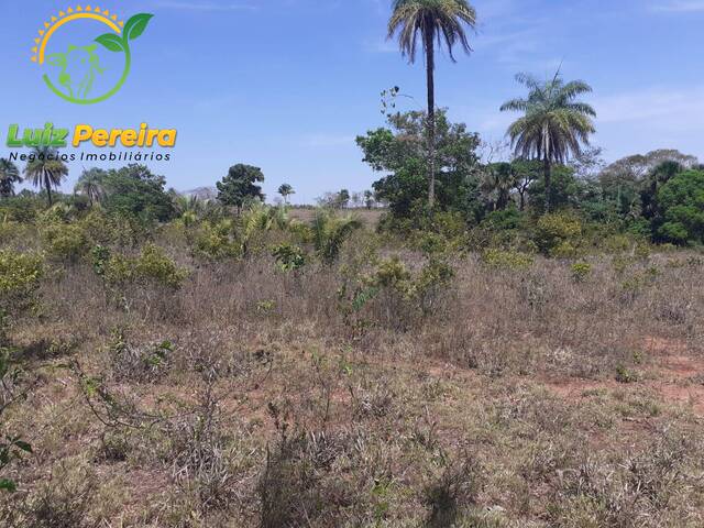Fazenda para Venda em Araguaína - 5