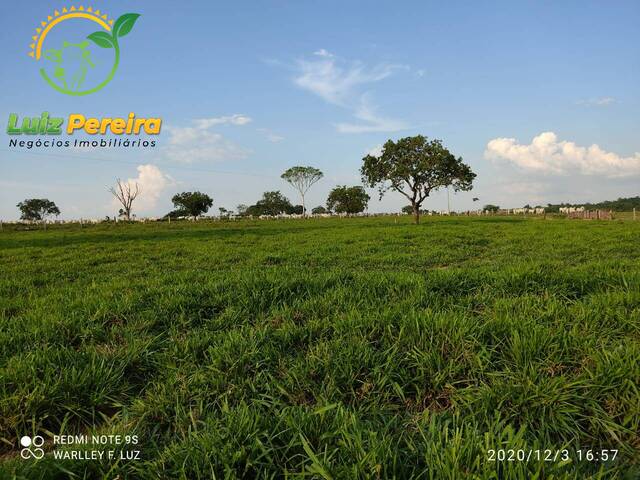 #1962 - Fazenda para Venda em Dois Irmãos do Tocantins - TO - 2