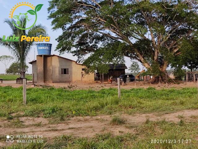 Fazenda para Venda em Dois Irmãos do Tocantins - 4
