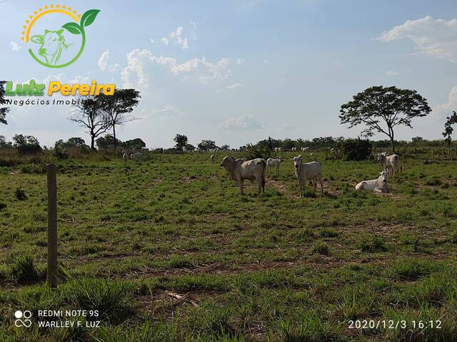 #1962 - Fazenda para Venda em Dois Irmãos do Tocantins - TO - 3