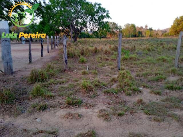 #1981 - Fazenda para Venda em Dois Irmãos do Tocantins - TO - 3