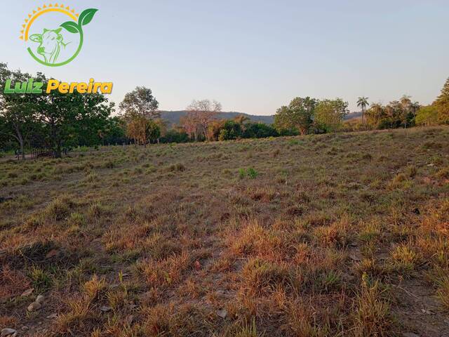 Fazenda para Venda em Dois Irmãos do Tocantins - 4