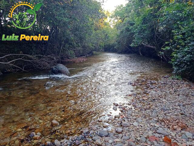 Fazenda para Venda em Dois Irmãos do Tocantins - 5