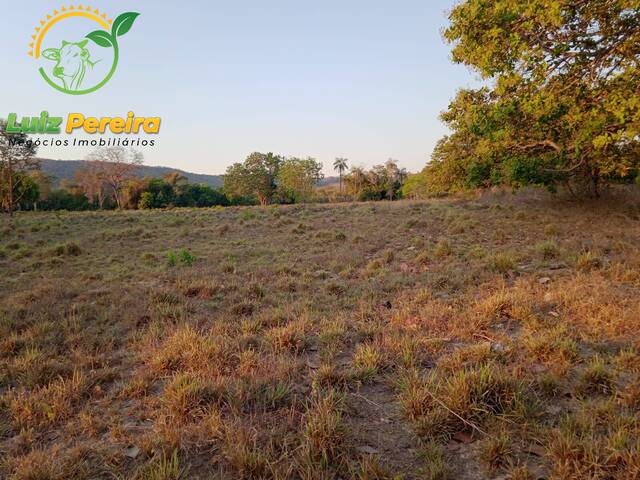 #1981 - Fazenda para Venda em Dois Irmãos do Tocantins - TO