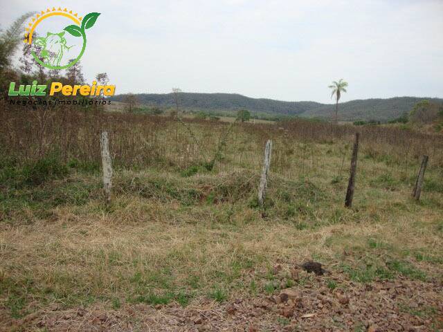 Fazenda para Venda em Bandeirantes - 5