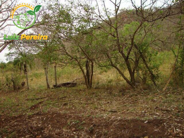 Fazenda para Venda em Bandeirantes - 4