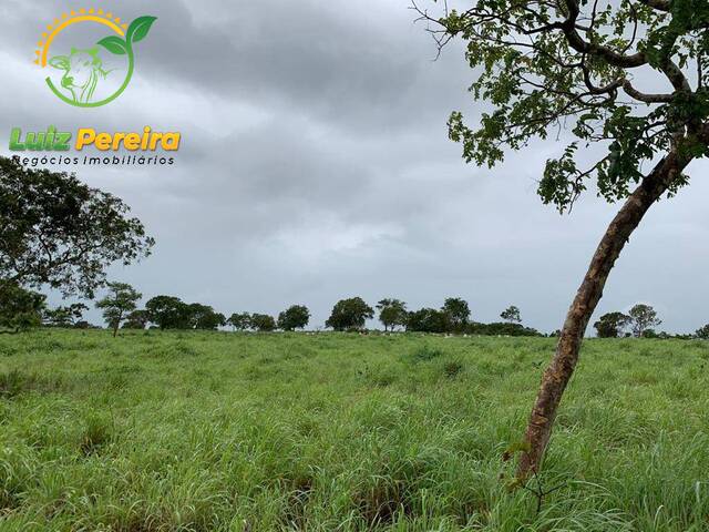 Fazenda para Venda em Monte Santo do Tocantins - 5