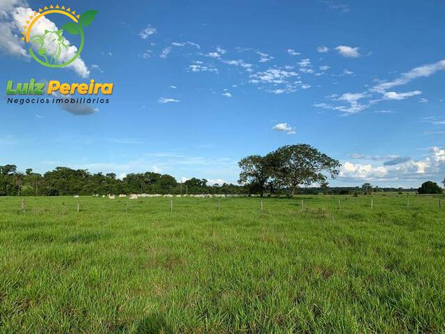 #2043 - Fazenda para Venda em Monte Santo do Tocantins - TO - 1