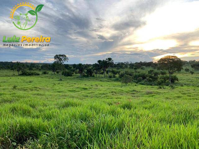 Fazenda para Venda em Monte Santo do Tocantins - 4
