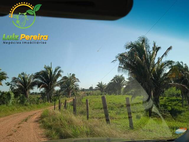 Fazenda para Venda em Marabá - 4