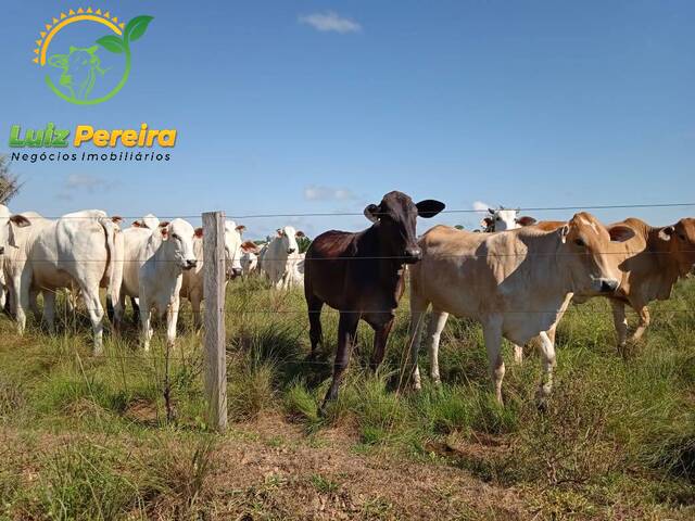 #2050 - Fazenda para Venda em Marabá - PA